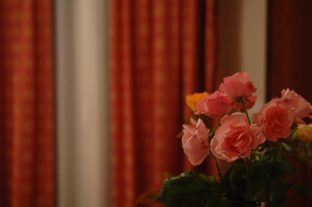 Kalipso Hotel Paralía Kültér fotó